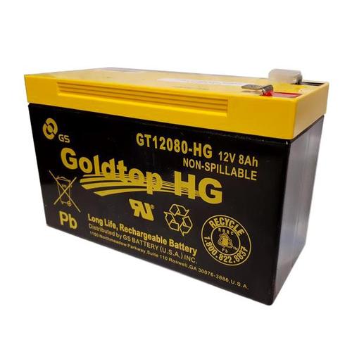 GT12080-HG GS Battery